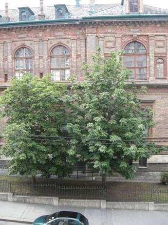 Imagen de la habitación del Pensión Schottentor. Foto 39