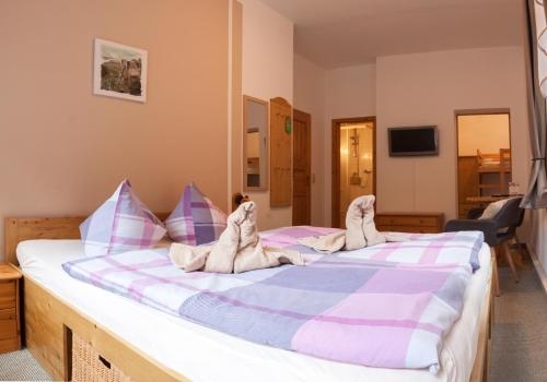 Imagen de la habitación del Pensión Schrammsteinbaude. Foto 8