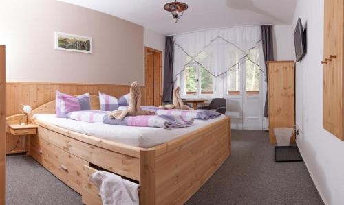 Imagen de la habitación del Pensión Schrammsteinbaude. Foto 10