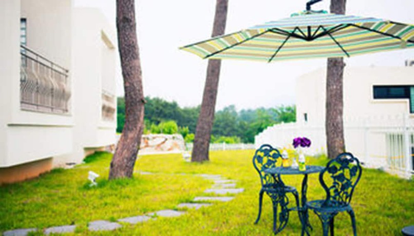 Imagen de los interiores del Pensión Sea and Pine. Foto 20