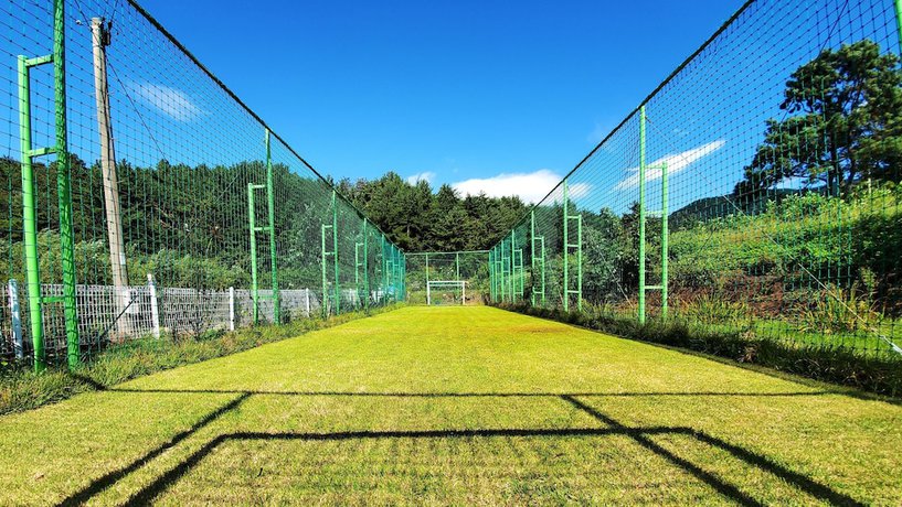 Imagen general del Pensión Sea and Sunset Pension. Foto 3