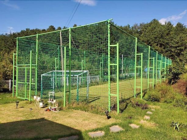 Imagen general del Pensión Sea and Sunset Pension. Foto 4