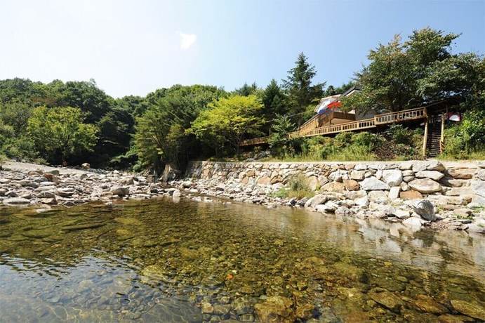 Imagen general del Pensión Shiny Town. Foto 1