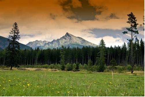 Imagen general del Pensión Sileo. Foto 9