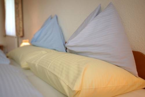 Imagen general del Pensión Speckmoser. Foto 5