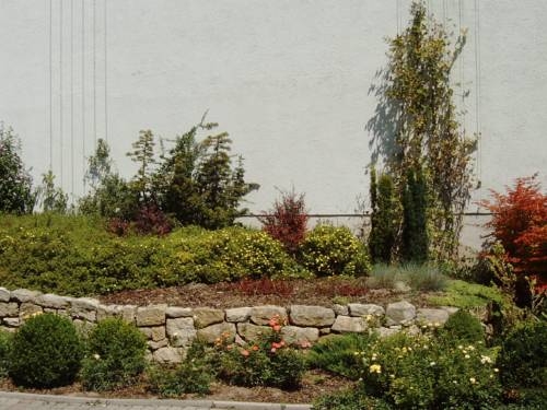 Imagen general del Pensión Sprinzl. Foto 6