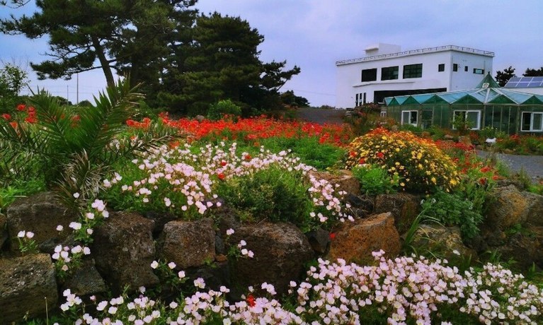 Imagen general del Pensión Ssaris. Foto 2