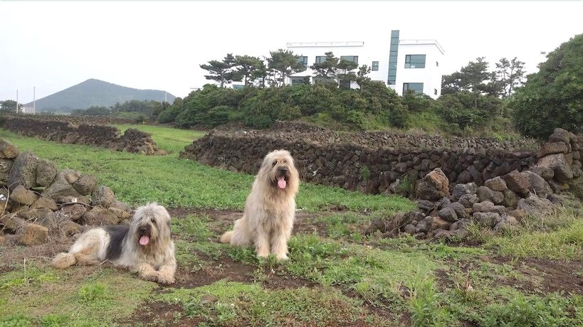 Imagen de los exteriores del Pensión Ssaris. Foto 20