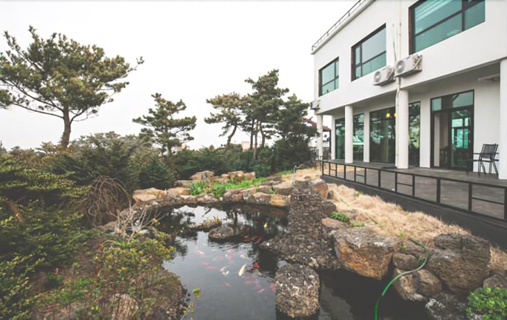 Imagen general del Pensión Ssaris. Foto 1