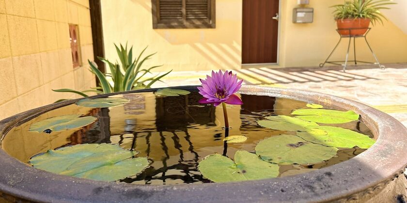 Imagen general del Pensión Sunset Beach, Nakijin. Foto 7