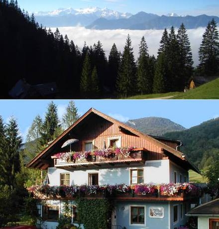 Imagen general del Pensión Sydler. Foto 8