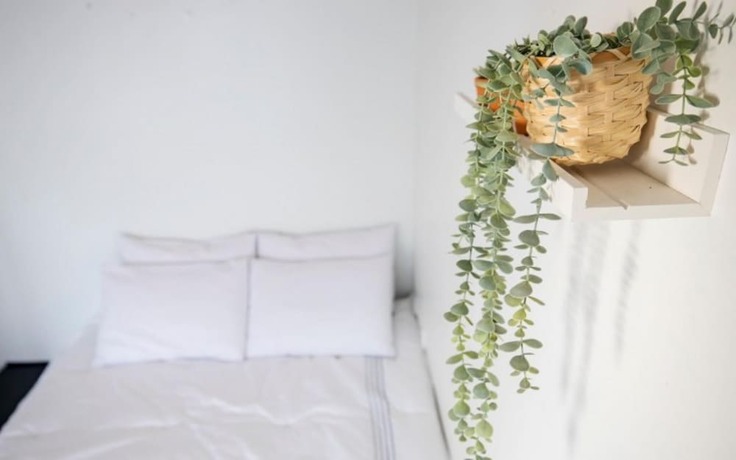 Imagen general del Pensión Taean Seapoem. Foto 4