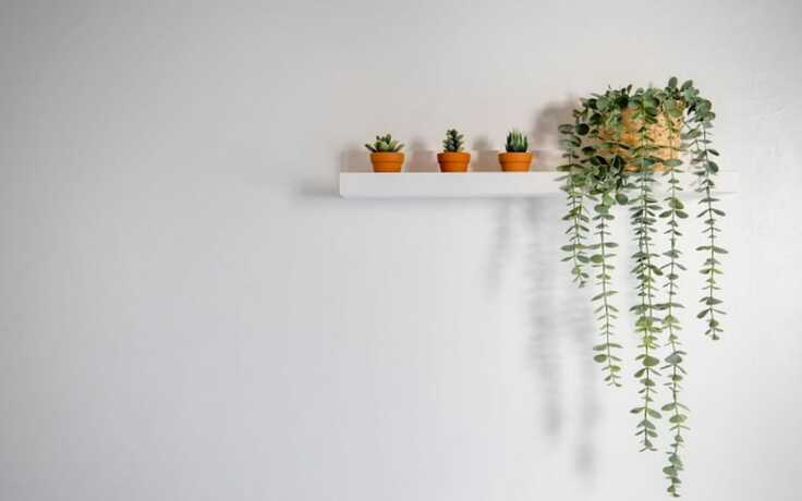 Imagen general del Pensión Taean Seapoem. Foto 5