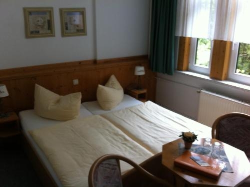 Imagen general del Pensión Tannenrausch. Foto 6