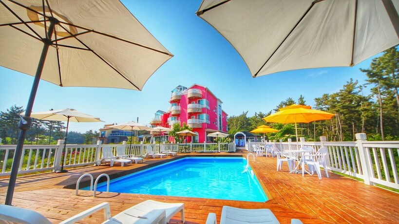 Imagen general del Pensión The Story Pension. Foto 15