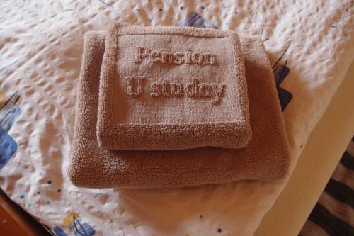 Imagen de la habitación del Pensión U Studny. Foto 4
