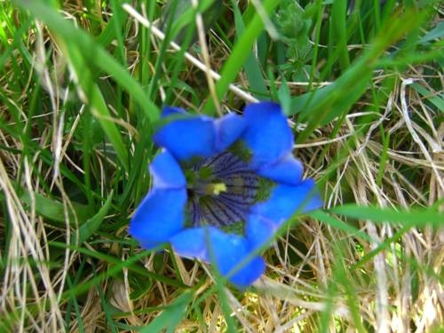 Imagen general del Pensión Vall&uuml;la. Foto 5