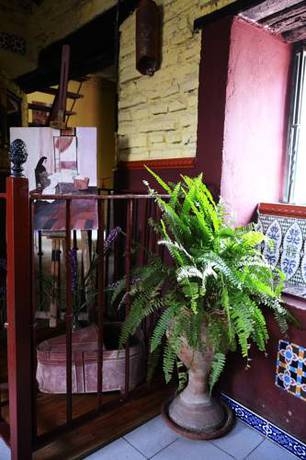 Imagen general del Pensión Vergara. Foto 7