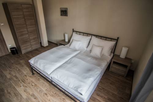 Imagen de la habitación del Pensión Viktorin. Foto 2