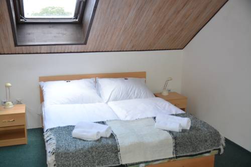 Imagen de la habitación del Pensión Vila Bohemia. Foto 10