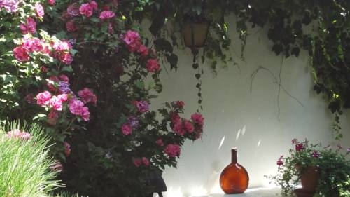 Imagen general del Pensión Vila Šárka. Foto 2