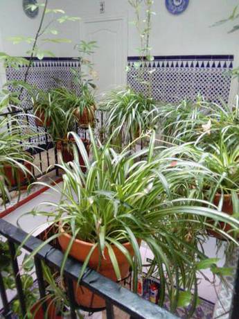 Imagen de la habitación del Pensión Virgen De La Luz. Foto 3