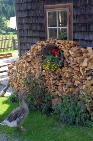 Imagen general del Pensión Waldesruh/halseralm. Foto 8