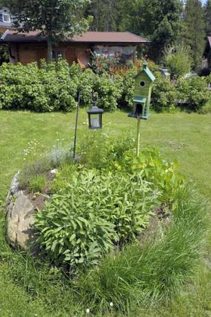 Imagen general del Pensión Waldesruh/halseralm. Foto 7