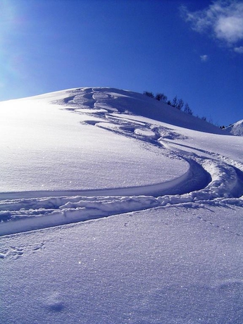 Imagen general del Pensión Waldhof. Foto 12