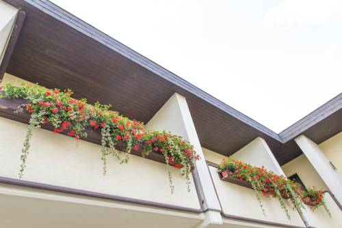 Imagen de la habitación del Pensión Weingut & Zum Seeblick Familie Sattler. Foto 6