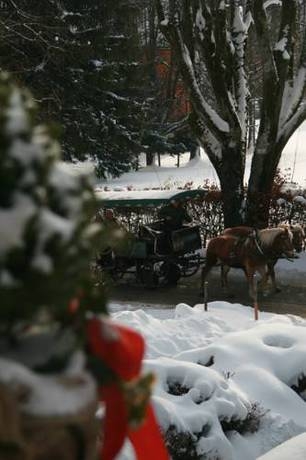 Imagen general del Pensión Wolfgangsee. Foto 16