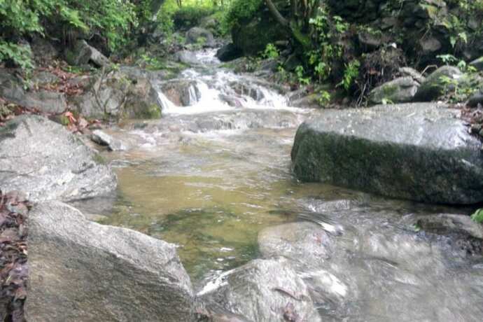 Imagen general del Pensión Yangpyeong Woorideul. Foto 7