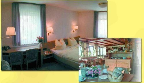 Imagen general del Pensión Zum Gr&uuml;nen Wald. Foto 3