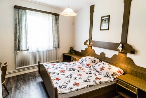 Imagen de la habitación del Pensión Zum Meridianstein. Foto 5