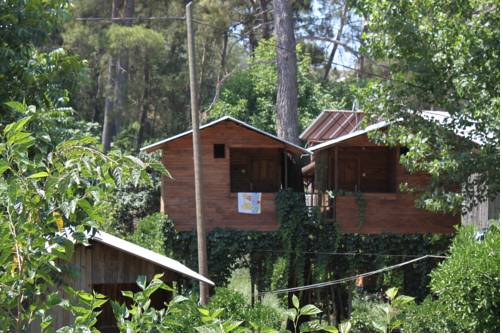 Imagen de la habitación del Pensión olympos camlık. Foto 4