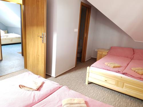 Imagen de la habitación del Pensión penzion u tř&iacute; jasanů. Foto 14