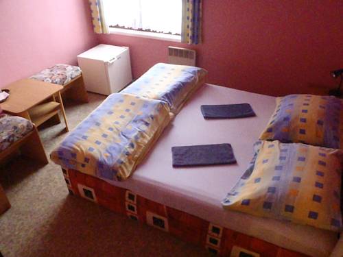 Imagen de la habitación del Pensión vin&aacute;rna a u langrů. Foto 4