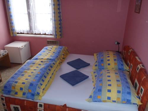 Imagen de la habitación del Pensión vin&aacute;rna a u langrů. Foto 16