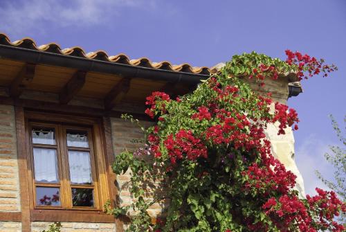 Imagen general del Pousada La Casona De Los G&uuml;elitos. Foto 10