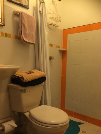 Imagen de la habitación del Pousada Nativa Lizard House. Foto 10