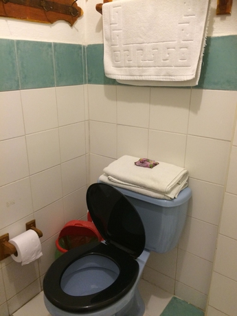 Imagen de la habitación del Pousada Nativa Lizard House. Foto 13