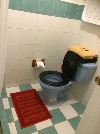 Imagen de la habitación del Pousada Nativa Lizard House. Foto 14