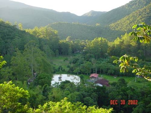 Imagen general del Pousada Pousada & Spa Vrindavana. Foto 10