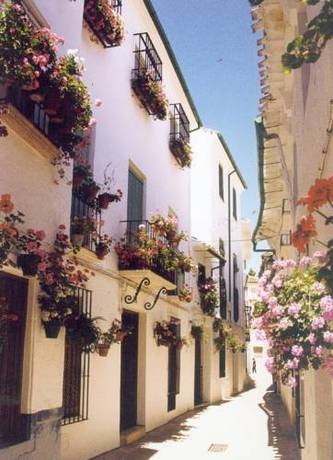 Imagen de los exteriores del Pousada Real, Priego de C&oacute;rdoba. Foto 12