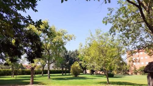 Imagen general del Residencia Diego Martinez. Foto 14