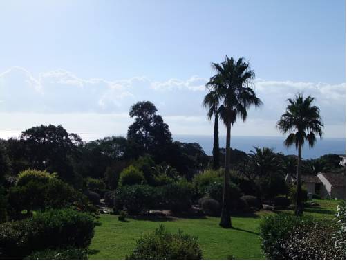 Imagen de la habitación del Residencia Les Hameaux De Bocca Del Oro. Foto 3