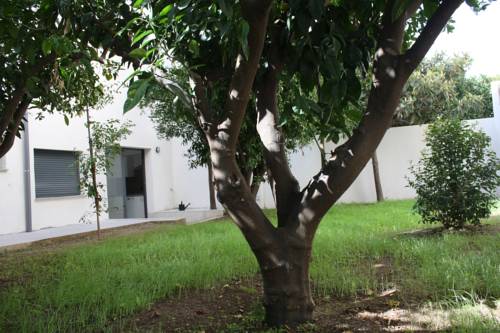 Imagen de la habitación del Residencia Mayol - Adults Only. Foto 2