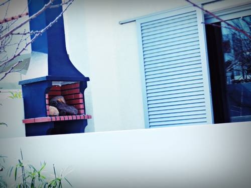 Imagen general del Residencia Praia Norte - Al. Foto 3