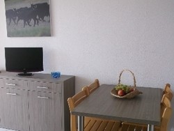 Imagen de la piscina del Residencia Résidence Residhotel Le Mayflower. Foto 6