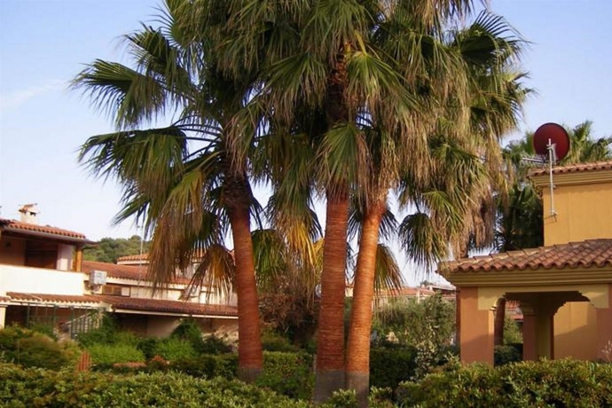 Imagen general del Residencia Sole, San Teodoro . Foto 4